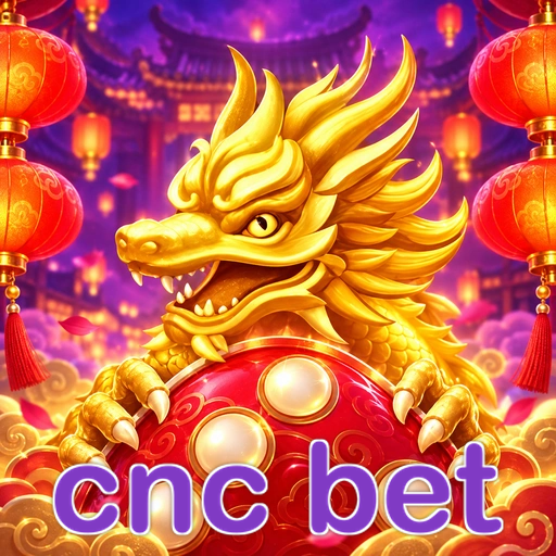 cnc bet termos — contrato de uso e regulamento da plataforma